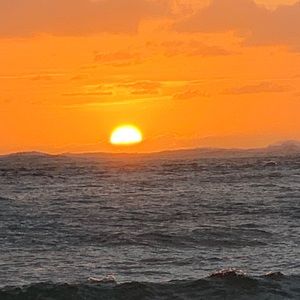 Meet your Posher, Victor